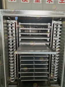 Lyophilisateur à congélation sous vide avec PLC intégré pour la conservation des aliments, des fruits, des légumes et des fruits de mer - Product Image 3