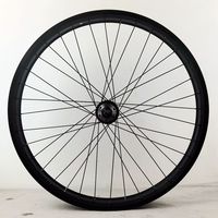 Колеса для горного велосипеда FAT Bike 20 дюймов, 36 отверстий; Колеса для снегоходного велосипеда 26 дюймов *4.0 Fort Wheels, алюминиевый сплав, 6 отверстий, дисковые тормоза, 2 подшипника