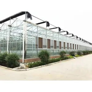 Multi Span Agricultural glass greenhouse with hydroponic system for vegetables