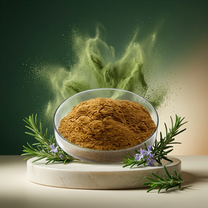 Fabricant de poudre d'extrait de romarin naturel en gros, fournisseur en vrac d'extrait de romarin de qualité - Product Image 1
