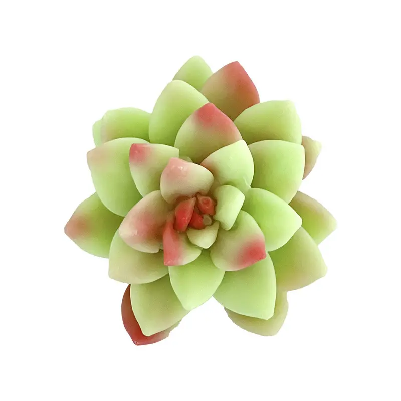 Succulent doodle plante verte fleur savon fait main avec main cadeau contrôle de l'huile huile blanchissant nettoyage bain huile essentielle savon