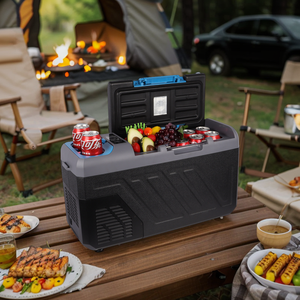 Réfrigérateur DC & AC Mini réfrigérateur alimenté par batterie avec compresseur pour voyage Camping pique-niques activités de plein air - Product Image 1