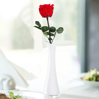 TC Groothandel Hot Selling Moederdag Valentijnsdag Bruiloft Cadeau Echte Aanraakbare Ge conserveerde Bloem Enkel Roos met Steel Unieke Cadeaus