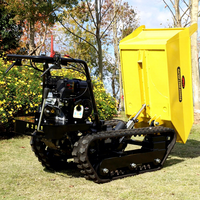 Chargeuse-pelleteuse sur chenilles ANT, mini-dumper auto-déchargeur, moteur 5,5 CV, boîte de vitesses à roulements, rayon de braquage court BY400