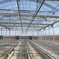 Serre de culture biologique à tunnel pour l'élevage d'escargots Serre hydroponique à film plastique pour tomates laitue concombre