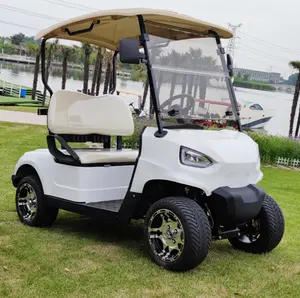 Carro de golfe elétrico de dois lugares para clube recém-projetado exportado para Europa e América