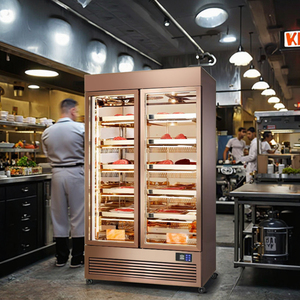 Nhiệt độ duy nhất thịt bò bít tết Xúc Xích ướt lão hóa mát thẳng đứng tủ lạnh hiển thị tủ đông cửa kính quạt không khí làm mát thịt - Product Image 2