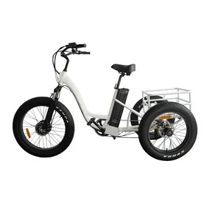 2022 Ristar 사이클 3 프론트 휠 trikes 전동 전자 자전거/전기 어시스트 카고 Trike/3 전기 카고 세발 자전거 판매