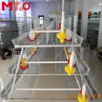 Équipement d'élevage avicole : Cage à poules pondeuses de type A avec système automatique à vendre