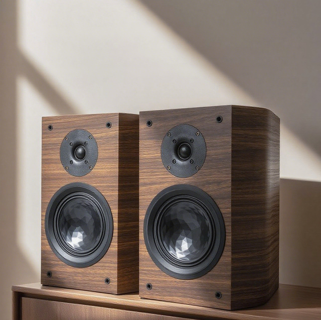 BRZHIFI DL65 Two Channel HlFl Passive Speaker Large Arc Box Design 6.5inch Home Theater Sound System Speaker