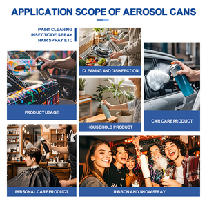 Nhà Máy Bán Hàng Trực Tiếp 52Mm 300Ml Rỗng Aerosol Tin Có Thể Cho Làm Mát Không Khí Rỗng Tin Aerosol Có Thể Nhà Sản Xuất Chai - Product Image 6