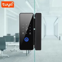Fabrieksafprijs Tuya App Smart Aluminium Commerciële Glazen Deurvergrendeling Nieuw Ontwerp Kantoor Vingerafdruk Schuifdeurvergrendeling