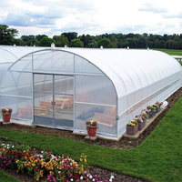 Serre agricole à bas prix Maison en plastique Polytunnel Pe séchoir solaire à travée unique à vendre