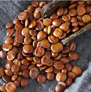 Suan zao ren erva chinesa sementes cruas de ziziphi spinosae sêmen seco ziziphi spinosae para ajudar a dormir - Product Image 5