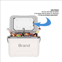Glacière portable PP Insulin Accept Set 6L 13L 22L avec poignée et couvercle, isotherme pour camping, pique-nique, plage, pêche, boissons