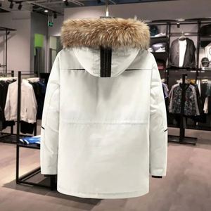 Men's Winter Warm Slim Hooded Thick Puffer Coat Cross-Border <b>Short</b> Style 95% Down Printed <b>Jacket</b> Canvas Zipper Drum Packaging - Product Image 5