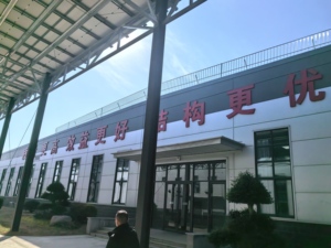 男女通用奢华 14K 玫瑰金 IGI 认证时尚经典 VVS1 光芒切割实验室培育钻石戒指 2.3 克 婚礼派对礼物 - Product Image 6