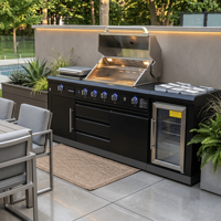 Cuisine extérieure modulaire en acier inoxydable de haute qualité, très vendue, avec plaque de cuisson et barbecue, anti-rouille SS304, pour jardin
