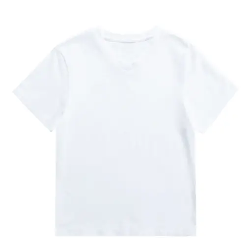 wholesale 100% cotton t shirts for men short sleeve v neck blank t shirt for man men's gym t-shirts high quality custom logo