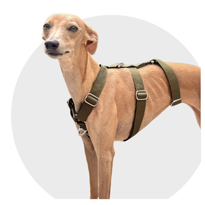 Harnais pour <span class=keywords><strong>chien</strong></span> anti-évasion rembourré, respirant, sans traction, 3 points, pour chiens de taille moyenne à grande, pour la marche et la course - Product Image 2