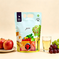 Pochettes souples pour jus et boissons 3L 5L, sacs d'emballage liquide de qualité alimentaire, pochettes à boisson rechargeables, sacs plastiques personnalisés OEM