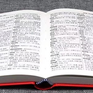 Papel Fino para Impresión de Biblias de 30 g/m² para Diccionarios e Instrucciones Farmacéuticas, Papel para Biblias de 40, 50 y 60 g/m² - Product Image 4
