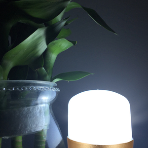 5W 10W 15W 20W 30W 40W B22 E27 T ผลิตภัณฑ์หลอดไฟไฟฟ้าอื่นๆแสง Caladium หลอดหลอดไฟ Led,Bombillas Led - Product Image 5