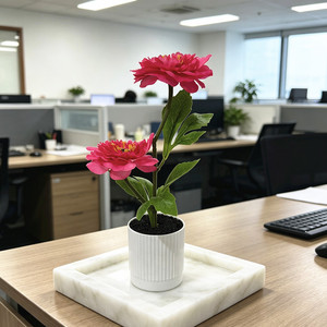 Fleurs de pivoine artificielles Paulon, 27 cm de haut, en plastique et tissu, plantes en pot pour décorations de maison et de mariage - Product Image 3