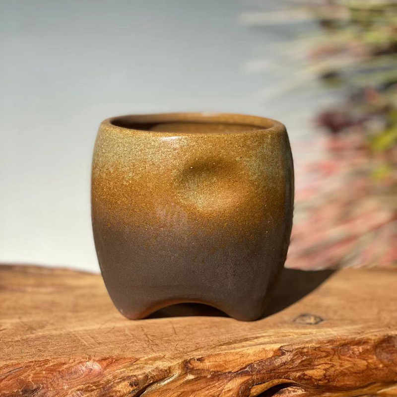 สีย้อนยุค