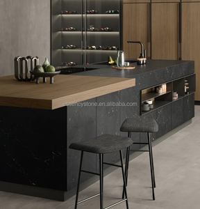 Losas de Granito de Cuarzo Negro Brasileño Negresco Nero Palmas para Encimeras de Cocina Modernas y Tocadores, Acabado Pulido - Product Image 1