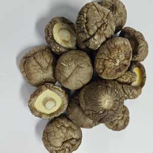 Hongo shiitake seco de alta calidad, precio al por mayor - Product Image 3
