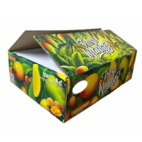 Pantone Kleur Gecoat Papier Mango Kartonnen Doos Vietnam Rechthoek Golfkarton Logo Cmyk Klant