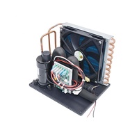Système de réfrigération miniature 12v pour équipement d'imagerie médicale Refroidissement des boissons Mini-systèmes d'eau réfrigérée