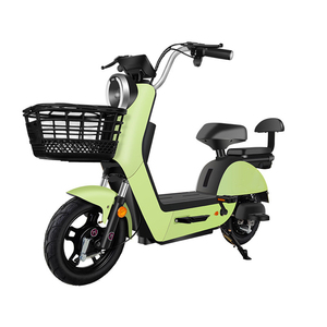 Vélo électrique pliant vintage à moteur central Linyi, avec batterie 48V 20Ah, kit 1000W 20 pouces, 1500W 3 roues, 3000W, modèle fermé - Product Image 1