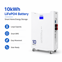 Batería de Almacenamiento de Energía Solar para el Hogar de 51V 200Ah 10kWh, 8000 Ciclos, 48V 200Ah, Se Busca Socio Global para Tiendas Minoristas, Sistema Fuera de Red