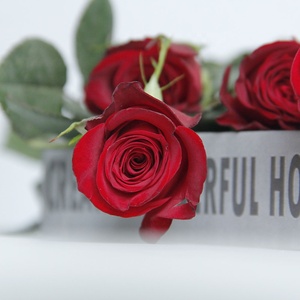 Yunnan-suministro directo <span class=keywords><strong>de</strong></span> tierra <span class=keywords><strong>de</strong></span> granja, <span class=keywords><strong>flores</strong></span> <span class=keywords><strong>de</strong></span> corte fresco, rosas rojas, meseta roja para el hogar, arreglo <span class=keywords><strong>de</strong></span> <span class=keywords><strong>flores</strong></span> <span class=keywords><strong>de</strong></span> San Valentín, ramo artesanal - Product Image 4