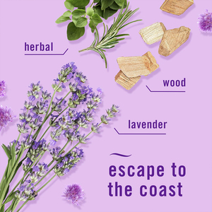 Top 6 loại tinh dầu thiết lập cho nhà hương liệu massage bạc hà Trà Cây hoa oải hương bạch đàn chanh hương thảo (10ml) OEM cung cấp - Product Image 2