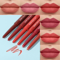 Crayon à lèvres minéral 6 couleurs imperméable longue durée hydratant velours mat lèvre contour des yeux maquillage marque privée