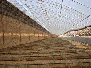 Cinta de Riego por Goteo de un Solo Orificio y Doble Orificio para Cultivos Agrícolas, 16 mm de Diámetro - Product Image 4