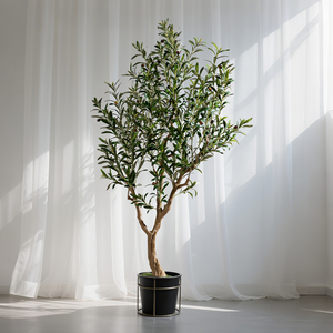 Vente en gros Nouveau design d'olivier artificiel Grand faux arbre intérieur et extérieur pour les décorations saisonnières - Product Image 6