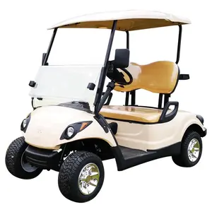 Trung Quốc Sunnyroad Thực Hiện Câu Lạc Bộ Golf Xe 2 CHỖ NGỒI Điện Điện Đi Giỏ Hàng