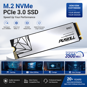 PUSKILL Fabrieks Prijs OEM ODM M.2 2280 NVMe PCIe 3.0 SSD Aangepaste Logo 3D NAND Solid State Drive Groothandel - Product Image 1