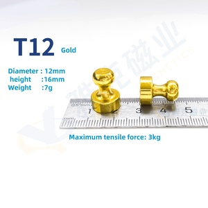 Commercio all'ingrosso di alta qualità strumenti didattici magnetici personalizzati magnete di prezzo all'ingrosso per il magnete della spilletta del metallo del frigorifero - Product Image 3