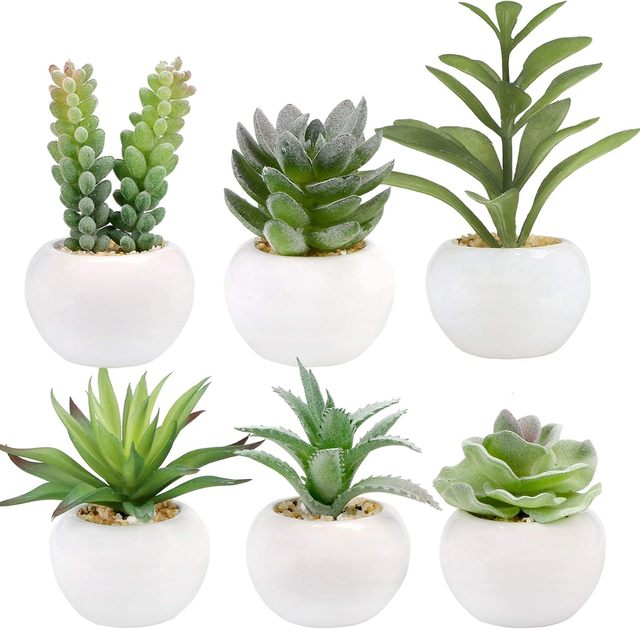 Set of 6 Succulents Plants Artificial in Mini White Ceramic Pots Small Faux Succulents Plants Indoor Succulent Plants