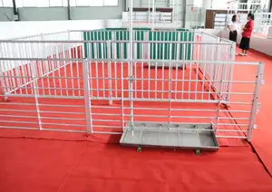 JUXIN Pig Farming Equipment Hot Dipped Galvanized Fatten Pigs Pens Grower Pens Animal Fences Pig Farming Equipment Hot Sale 2023