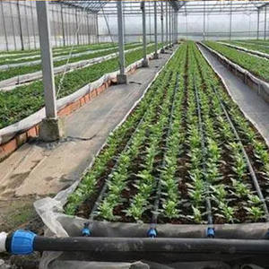 Cinta de Riego por Goteo de 16 mm, 10 Hectáreas, Sistema de Riego por Goteo Agrícola, Cinta de Goteo con Emisor Plano, Gran Venta - Product Image 6