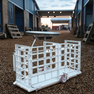 PXM Custom Size Farm Weighing Platforms Anti-Chewing Waterproof Electronic Floor Scale LCD/LED Double <strong>Door</strong> Livestock Scale - Product Image 6