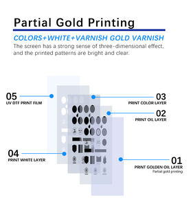 600mm Geniş Formatlı UV DTF Yazıcı, Altın Varak ve Otomatik Nozul Temizleme Özellikli - Product Image 2