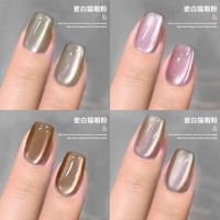 Poudre à ongles œil de chat universelle, poudre magnétique professionnelle pour salon, pour vernis à ongles et gel