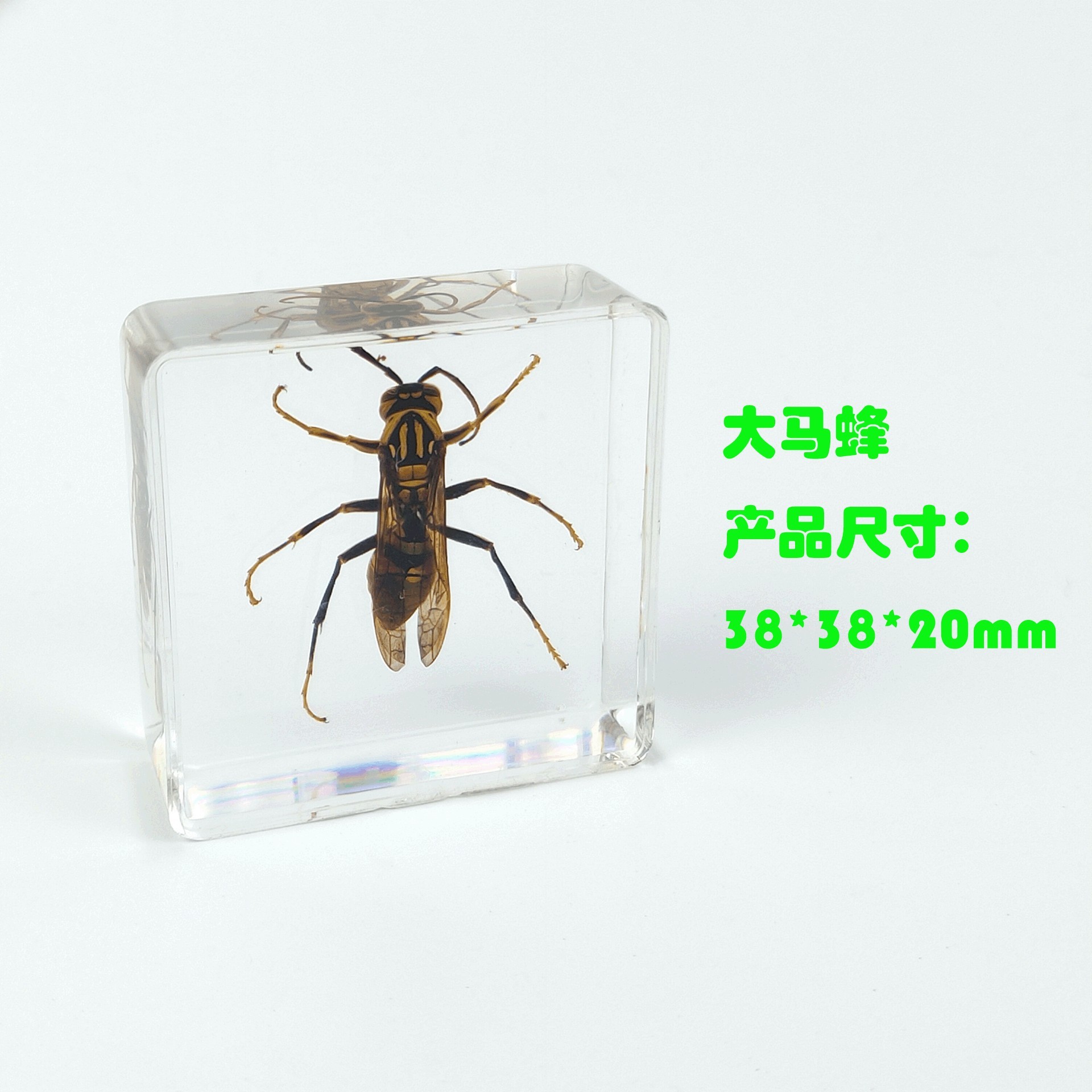 Sp hornet 452916mm